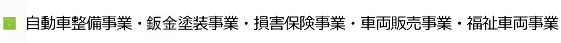 カーサービス事業内容（自動車整備事業・鈑金塗装事業・損害保険事業・車両販売事業・福祉車両事業）